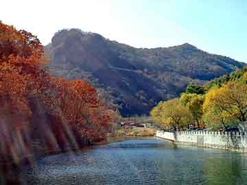 天天彩好彩天天免费，图木舒克物流